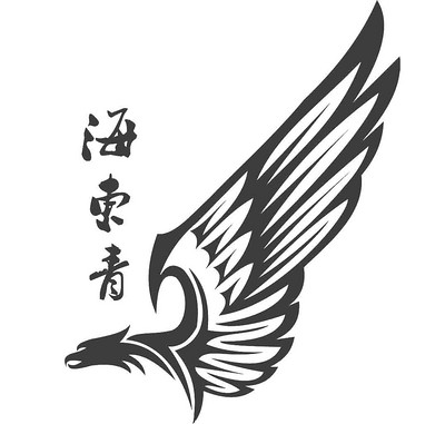 无忧无虑家装网-海东青装饰工程有限公司-logo